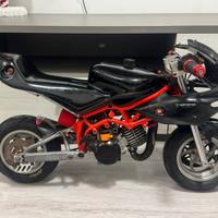 Minimoto dm