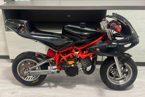 Minimoto dm