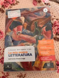 Libro di letteratura