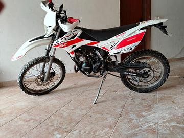 Beta 50RR