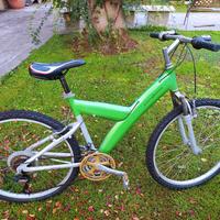 MTB Pininfarina alluminio 