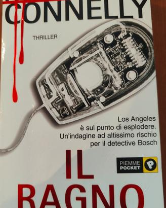 il ragno