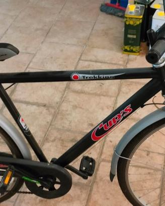 Bicicletta da uomo