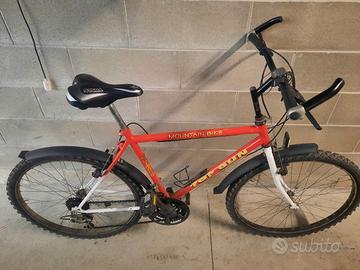 Mountain bike