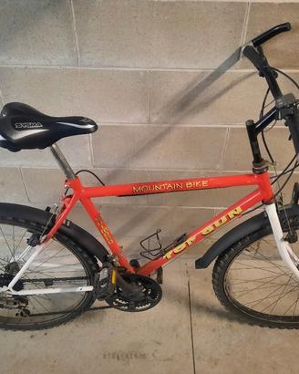 Mountain bike