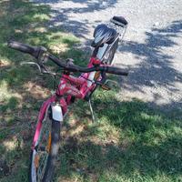 Bicicletta tecnobike bambino