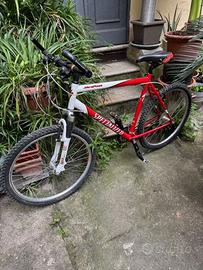 Bici Specialized
