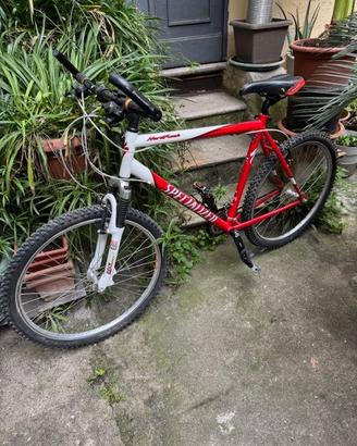 Bici Specialized