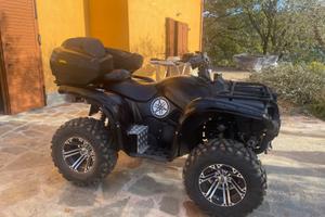 Yamaha grizzly