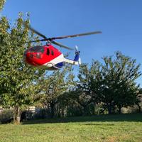 Trex 500 in fusoliera BO 105