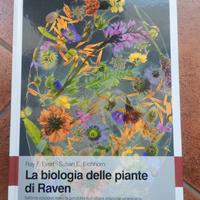 biologia delle piante di raven