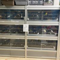 Struttere per animali certificate per attivita’