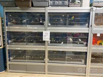 Struttere per animali certificate per attivita’