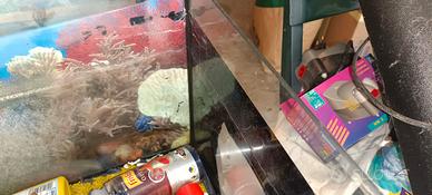 acquario 
