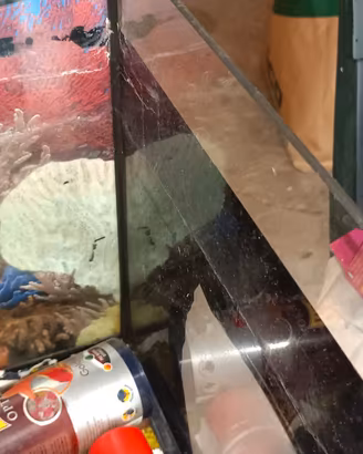 acquario 