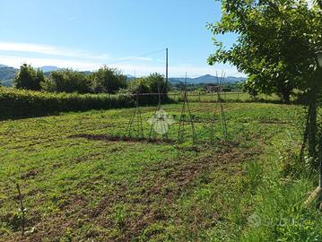 TER. AGRICOLO A OLEVANO ROMANO