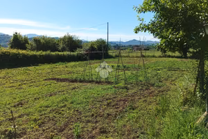 TER. AGRICOLO A OLEVANO ROMANO