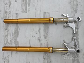 Forcella Ohlins FGRT Yamaha r1 2015- 2024