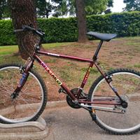 Mountain Bike Giuseppe Olmo