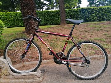 Mountain Bike Giuseppe Olmo