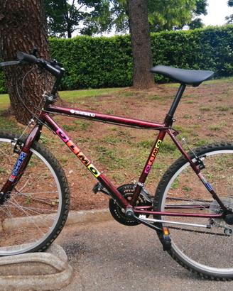 Mountain Bike Giuseppe Olmo