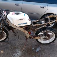 Aprilia AF1 50