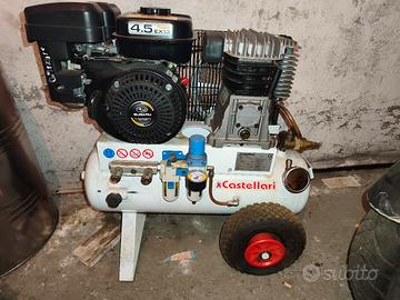 Abacchiatore olive Castellari