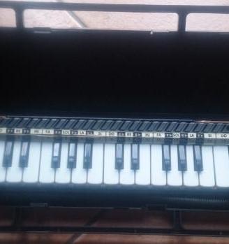 Melodica Bontempi
