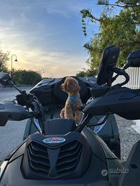 QUAD CF MOTO C FORCE OTTIME CONDIZZIONI
