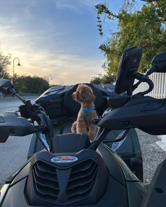 QUAD CF MOTO C FORCE OTTIME CONDIZZIONI