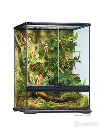 Nuovo Terrario Exo Terra Glass Terrarium 60x45x30