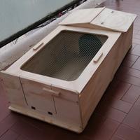 terrario per tartarughe 