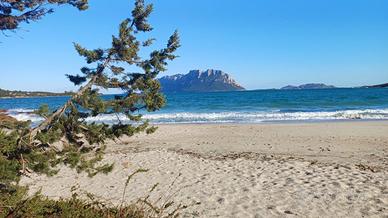 Last minute porto istana