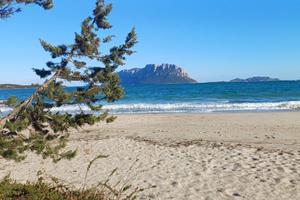 Last minute porto istana