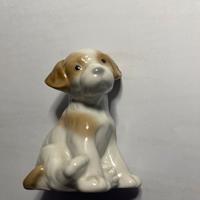 N1186 cagnolino Shoten