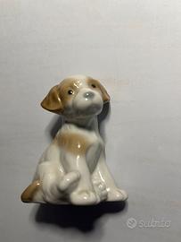 N1186 cagnolino Shoten