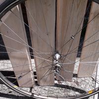Ruota anteriore bicicletta