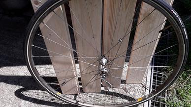 Ruota anteriore bicicletta