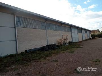 Capannone con ampio piazzale
