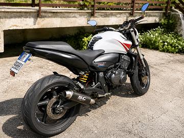 Hornet 600