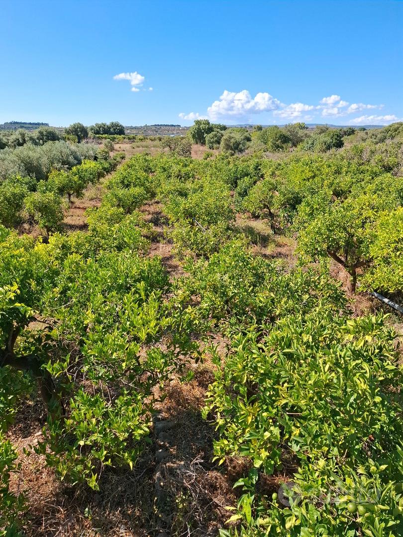 Terreno agricolo - Vista 5