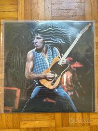 vinile bootleg Bruce Springsteen