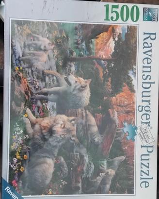 Puzzle da 1500 pezzi