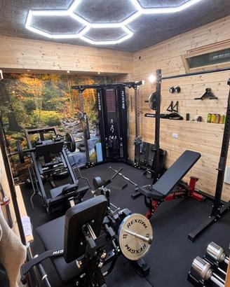 Palestra home gym