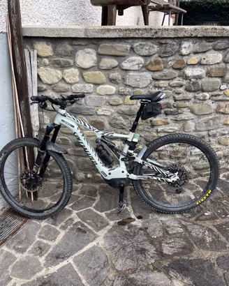 Bicicletta elettrica 