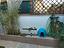 Immagine 5