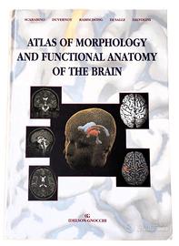 Atlas of morphology and functional anatomy brain.