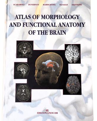 Atlas of morphology and functional anatomy brain.