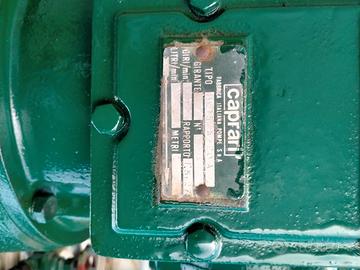 Pompa verticale caprari