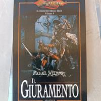 Il raduno degli eroi volume 4 il giuramento 